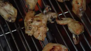 Monument Grills 6-Burner Gas Grill: A 6-Month Update and Honest Review