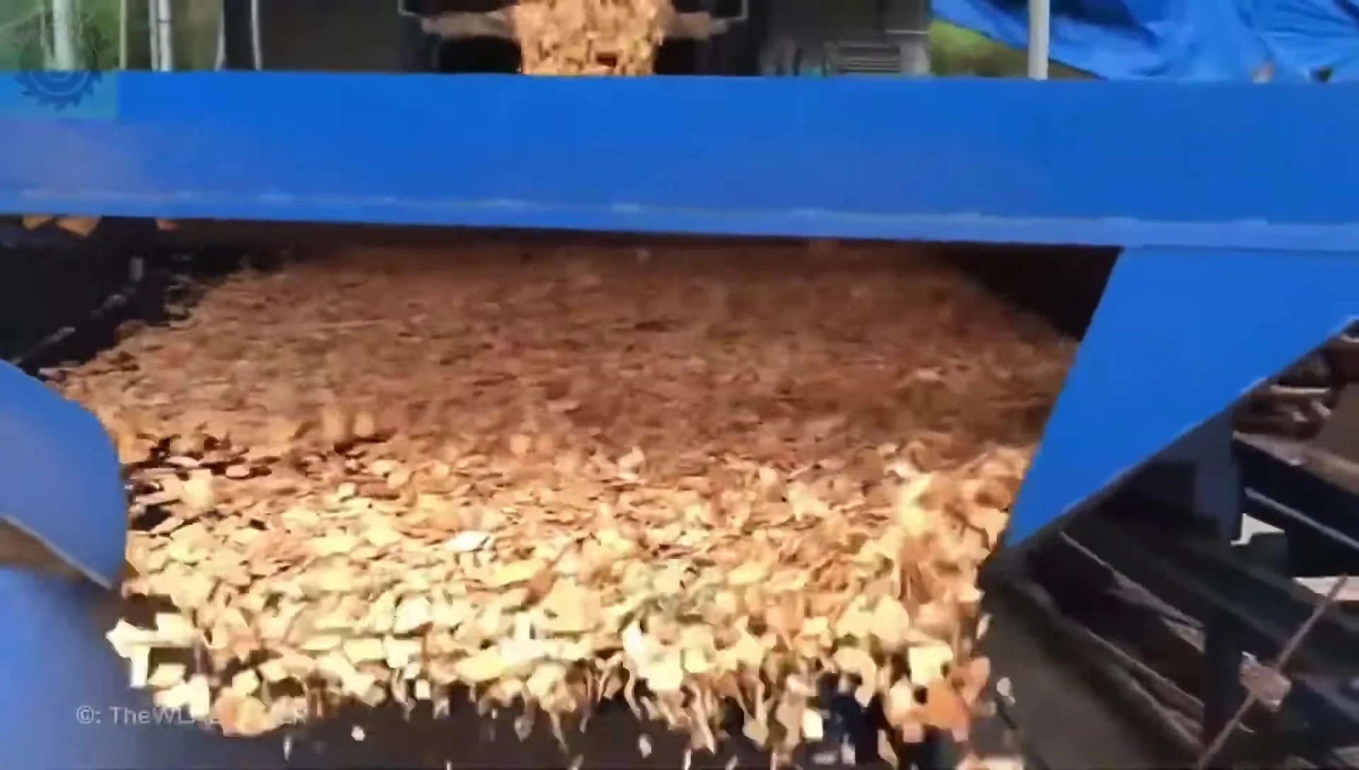 Close-up of the separated wood chips.