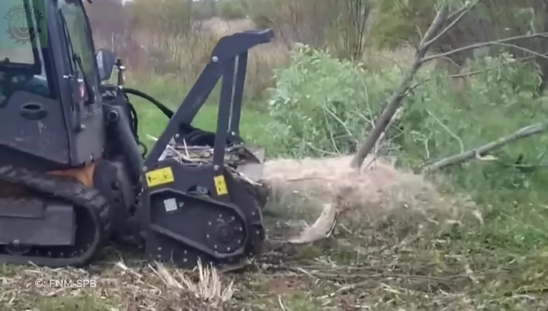 Close-up of the brush cutter clearing overgrowth.