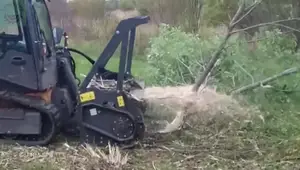Dangerous Tree Shredders & Wood Chippers: A Deep Dive into Powerful Machines