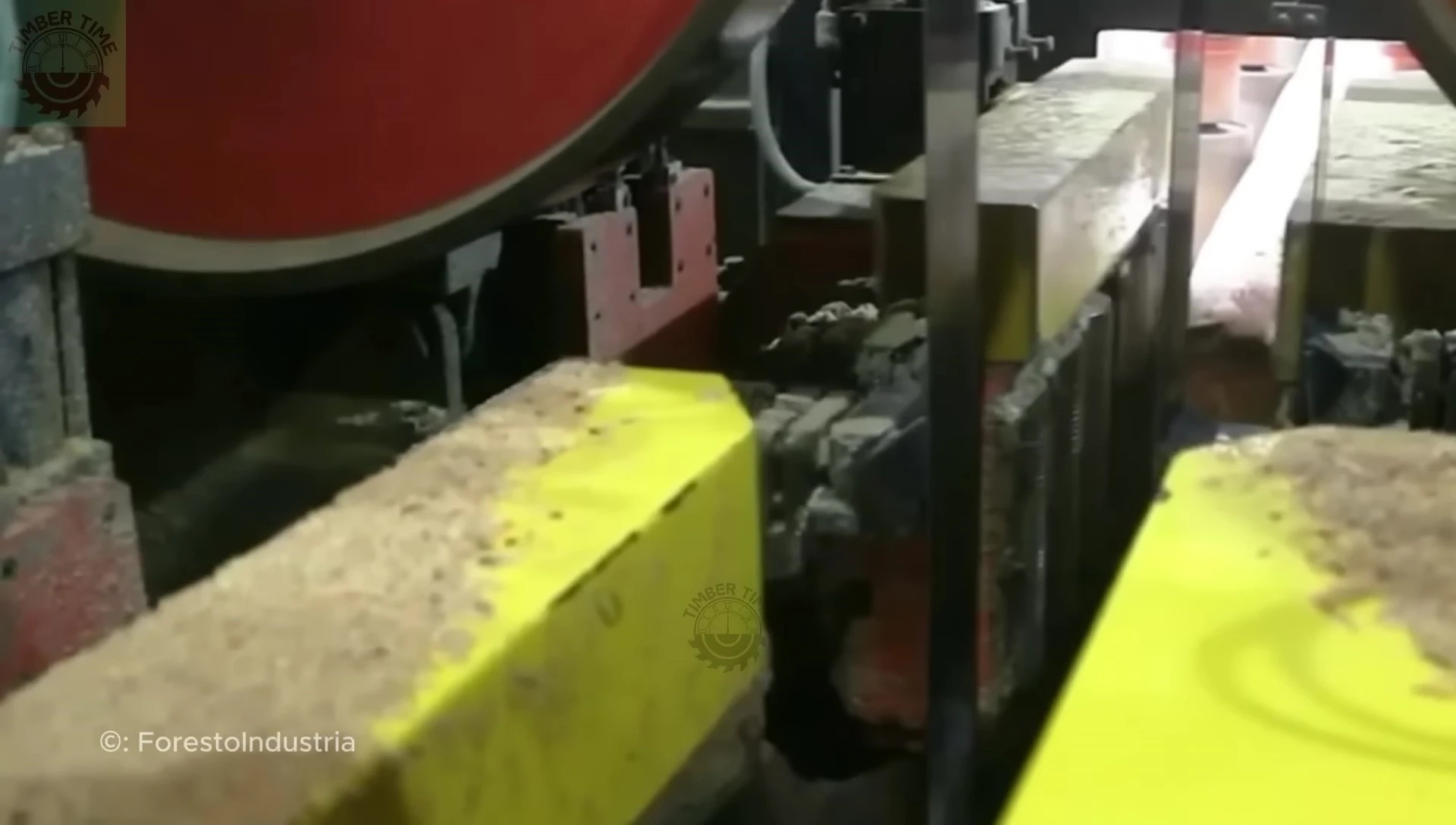 Overview shot of the modern sawmill in operation, showcasing its speed and precision.