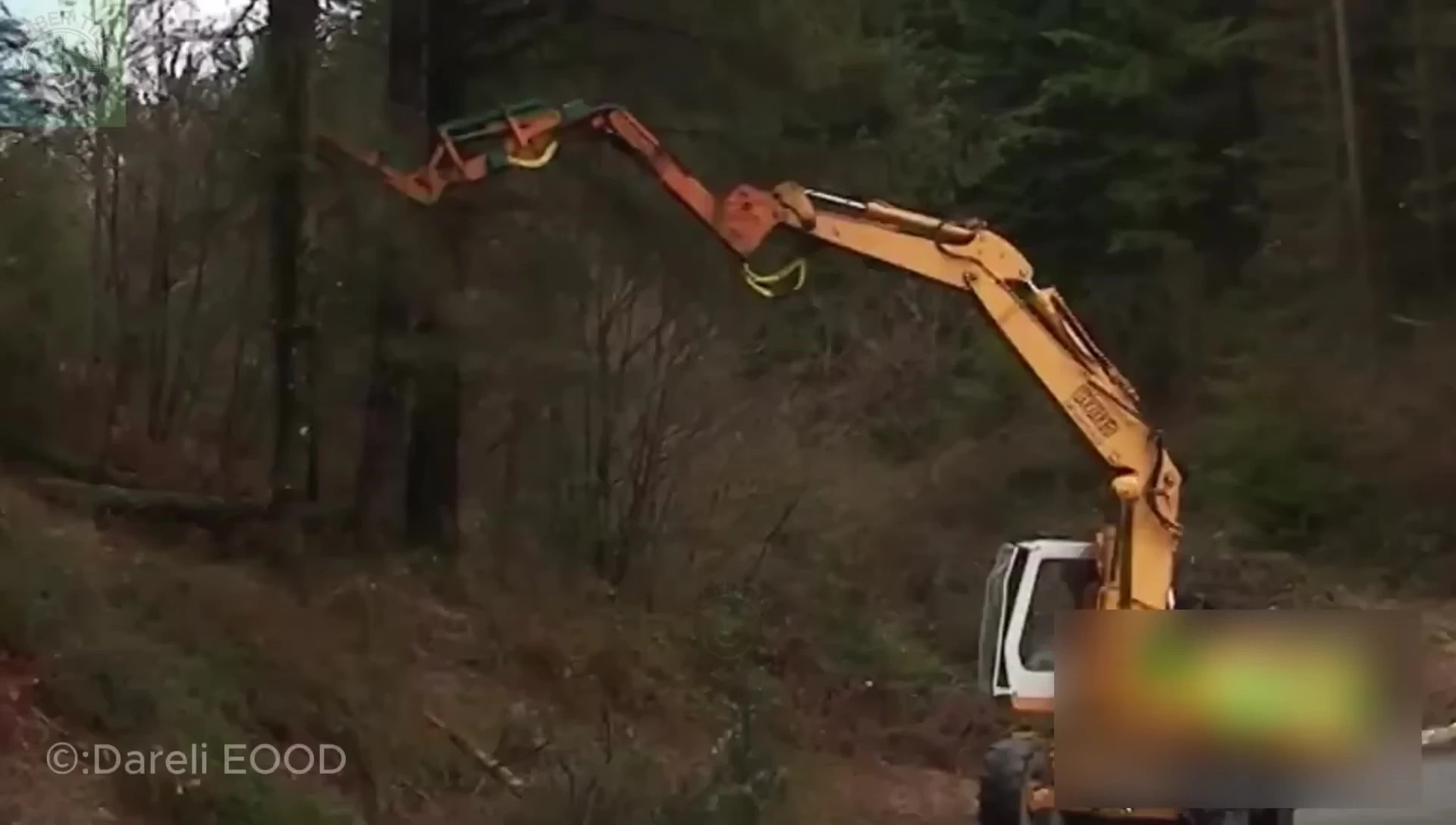 The Coupe Eco Meteor P270 shredding branches.