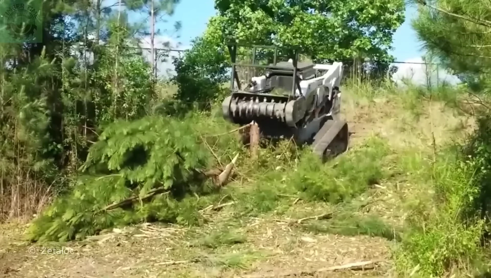 The compact wood shredder in action, rapidly processing saplings.