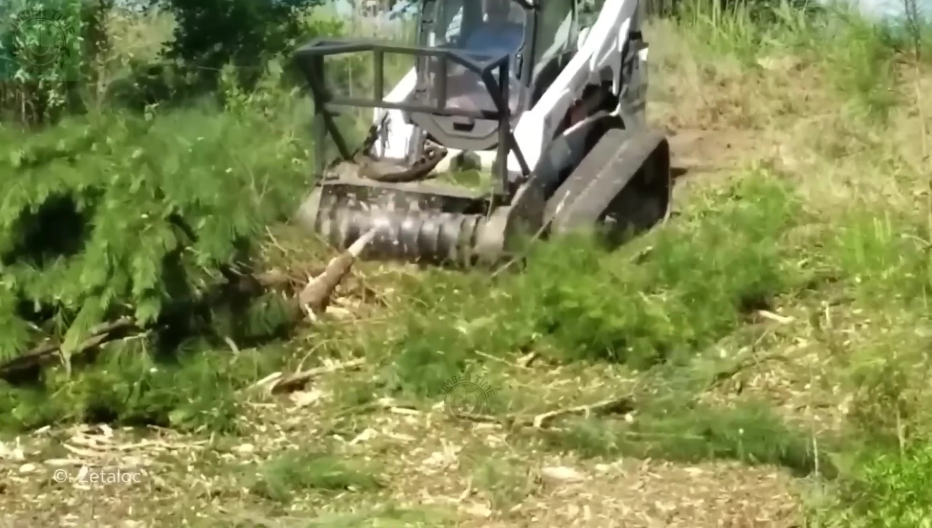 Close-up showing the shredding mechanism.