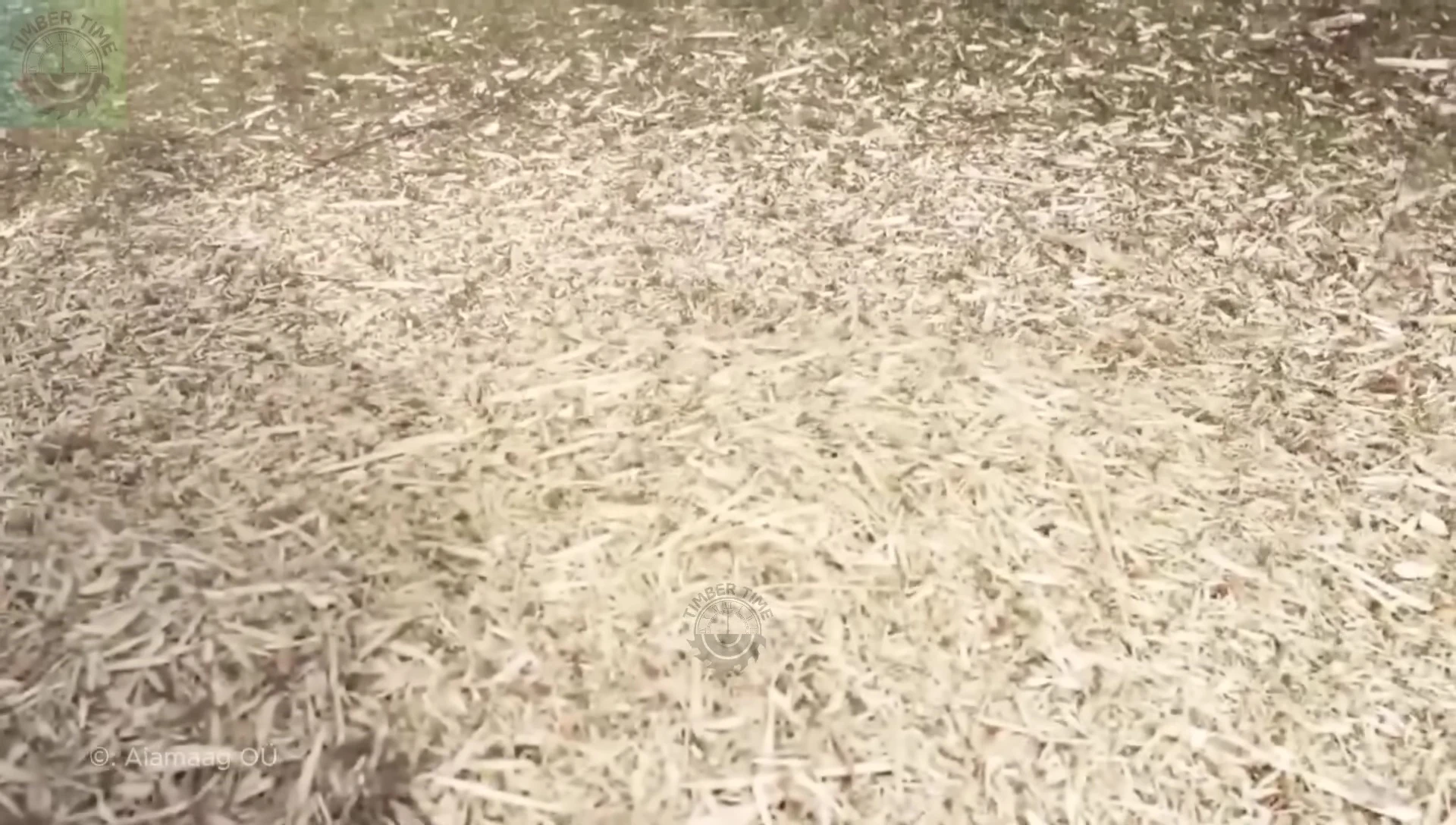 The Vector 4S cross-country shredder operating on uneven terrain.