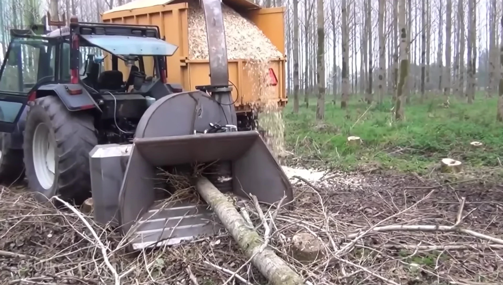 The Green Tech 1445 prototype processing a whole tree.