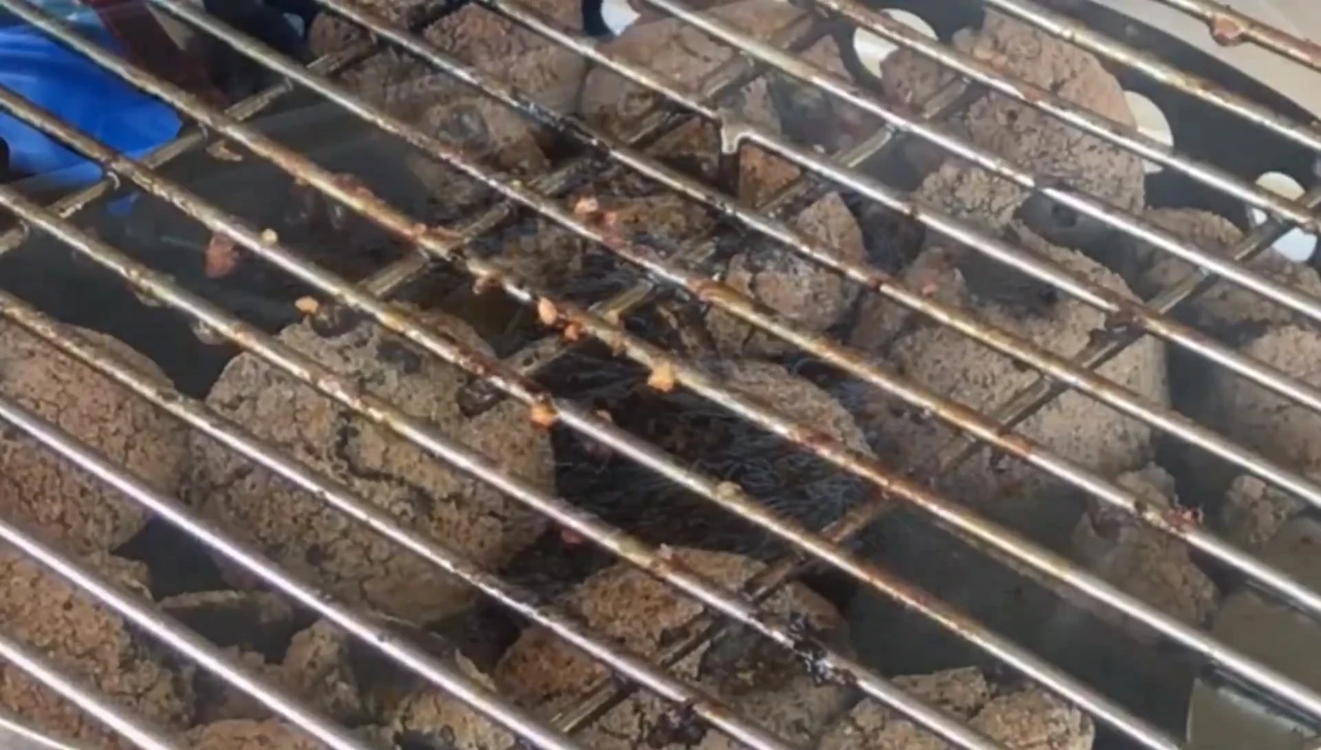 A cooked ribeye steak showing its doneness.