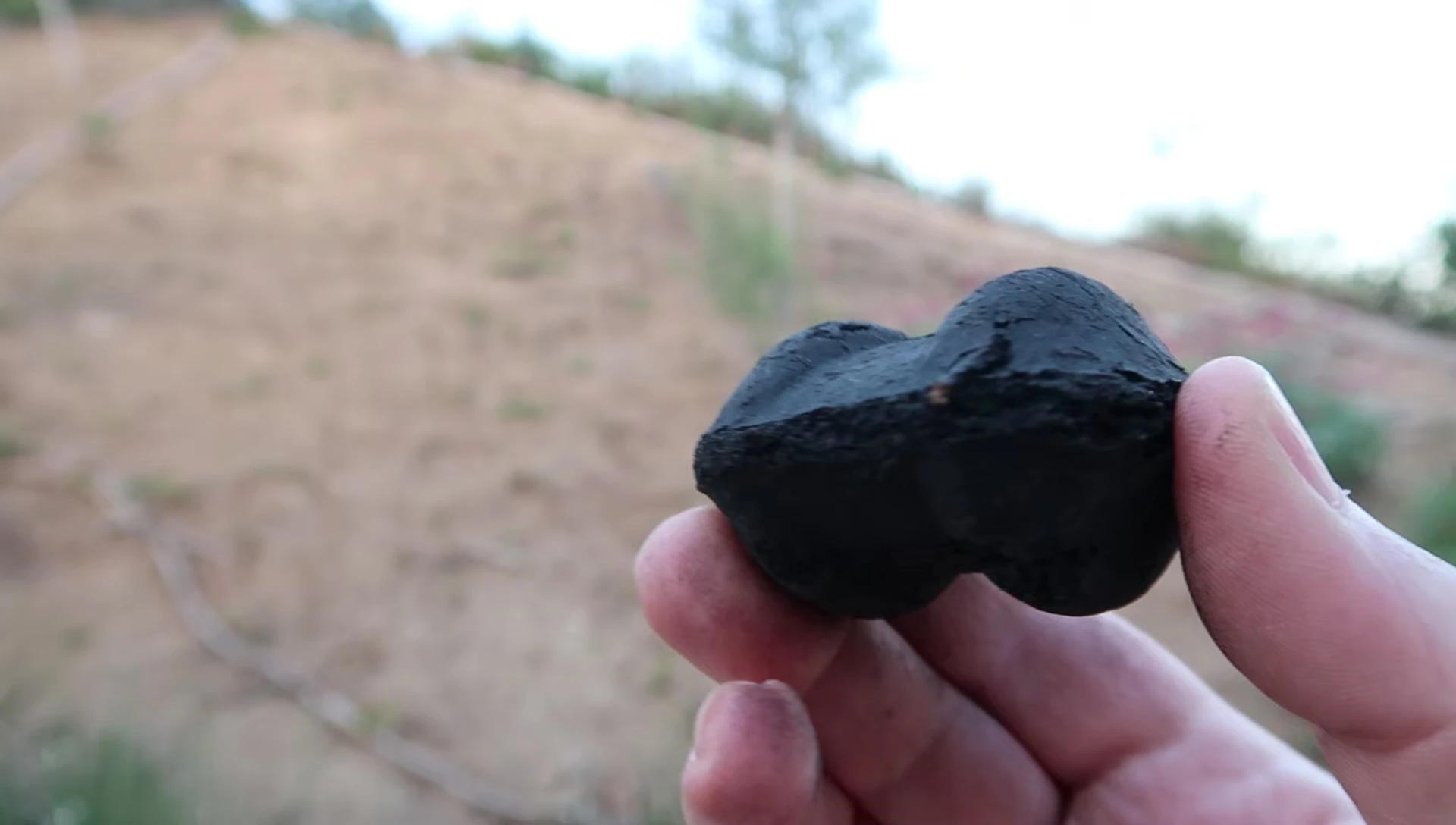 Close-up of the unusually shaped briquettes.