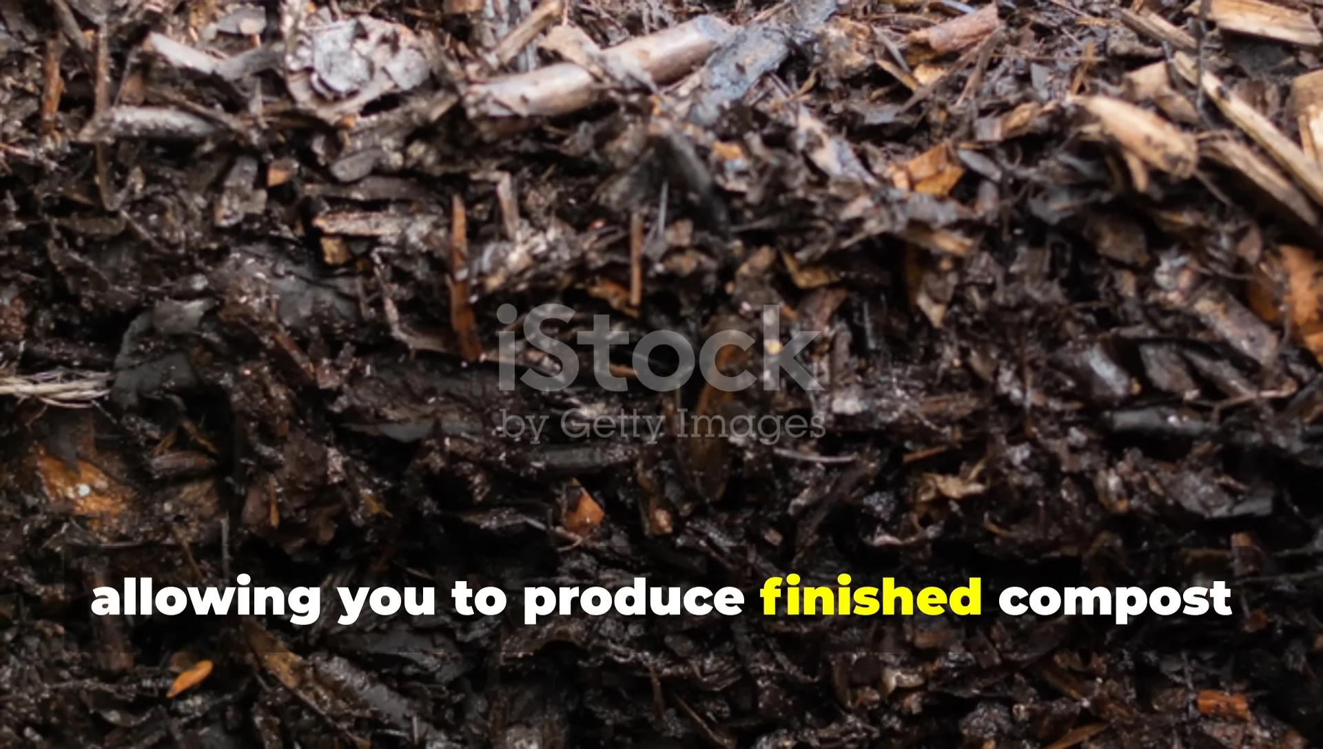 Finished compost in a container