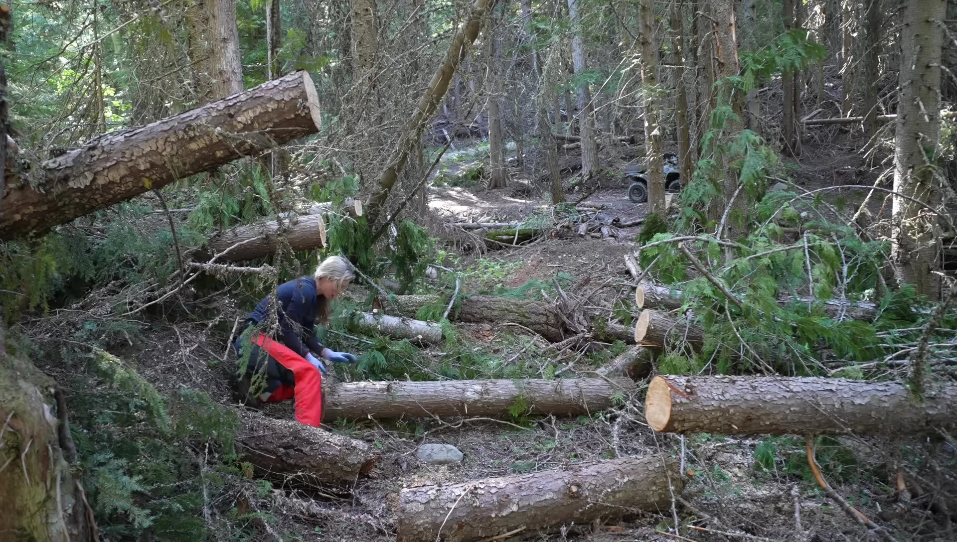 The narrator explaining his plan using the bobcat and wood chipper.