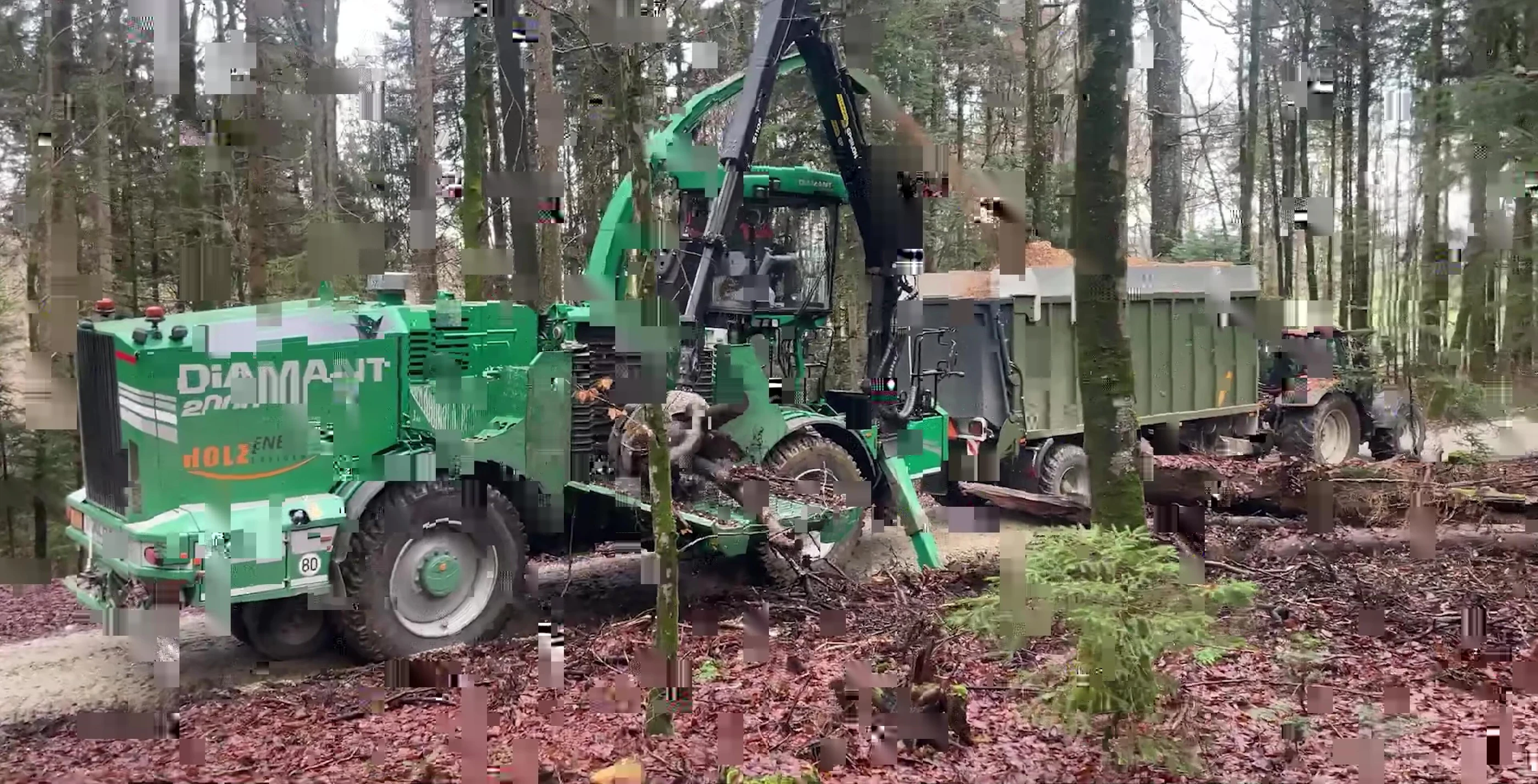 Greenwood chipper working in a lush forest
