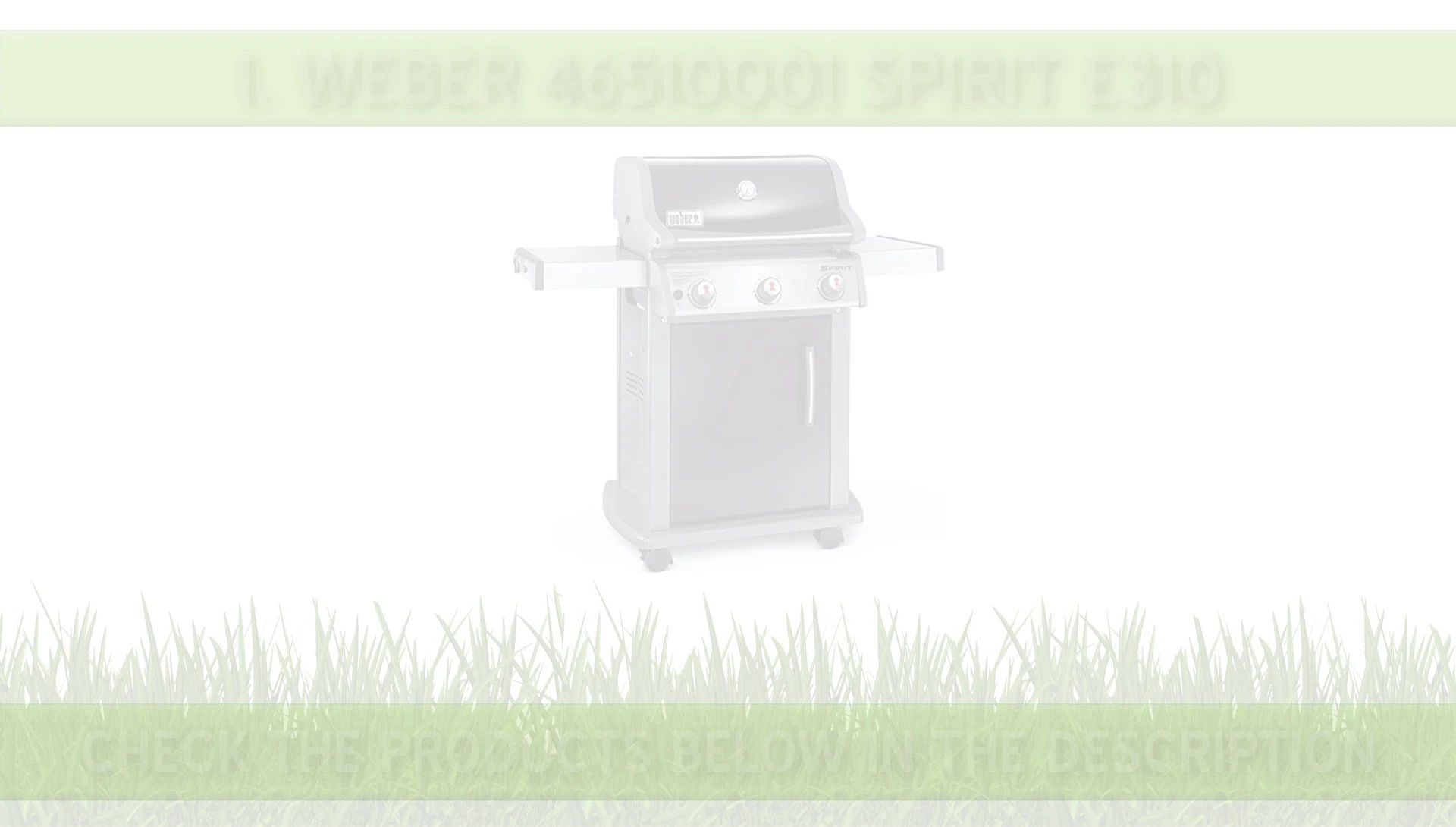 Weber Spirit E-310 Gas Grill