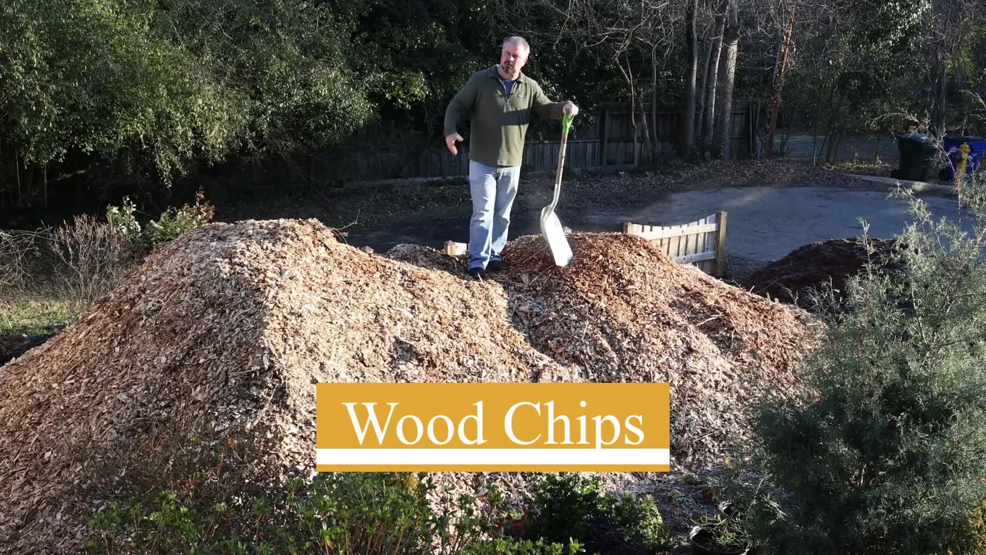 Wood chips used as mulch between vegetable rows