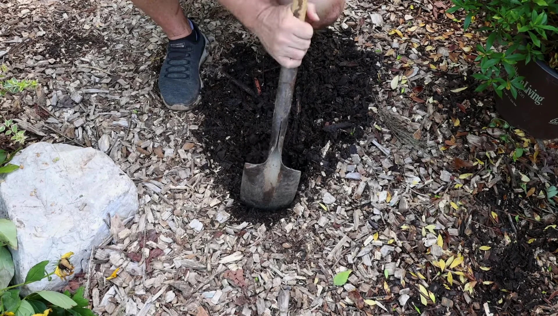 Digging down to show the improved soil