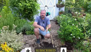 Wood Chips: A Game Changer for Soil Health and Organic Gardening