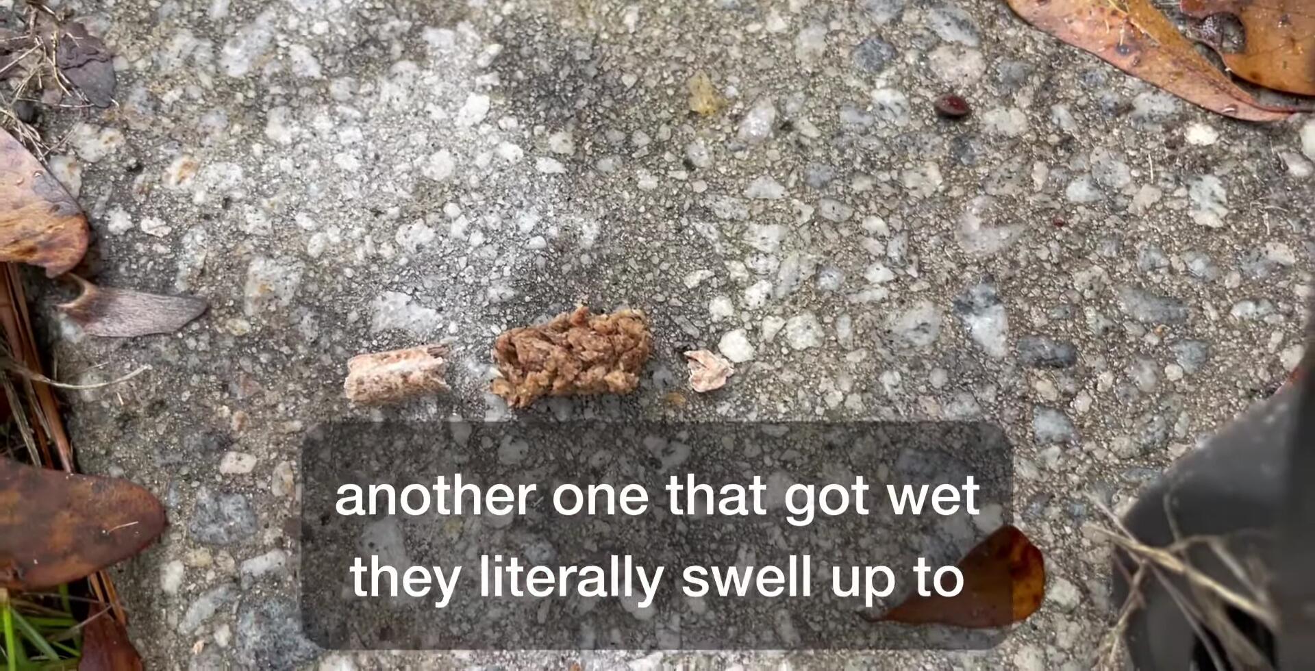 Comparison of dry and swollen pellet size