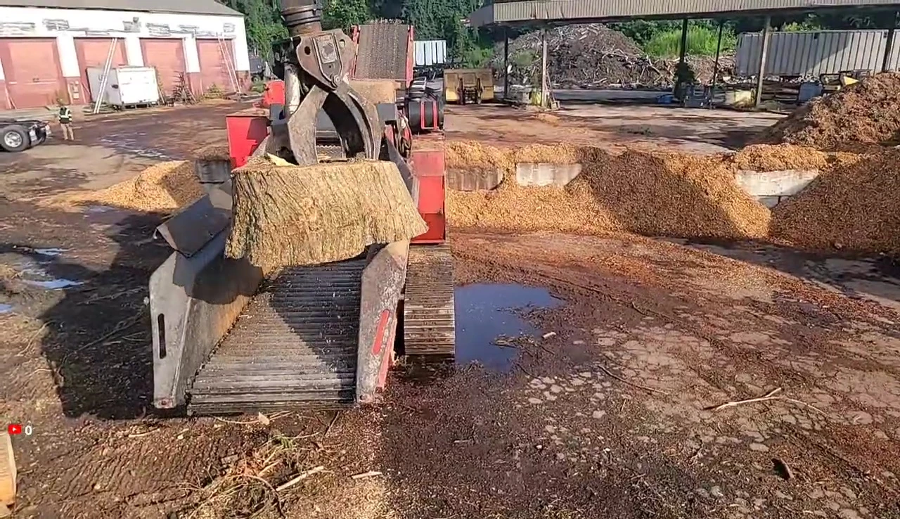 The logger attempting to feed a larger piece of wood into the chipper.