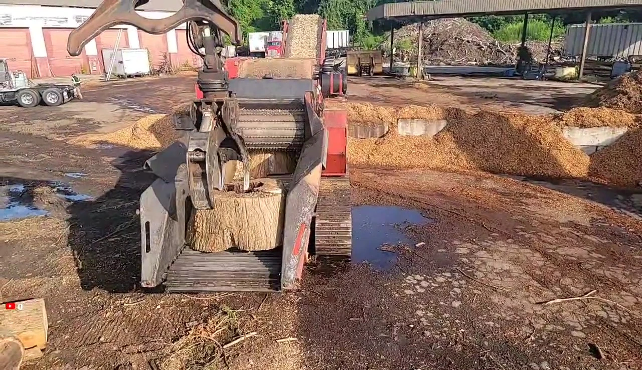 The logger successfully processes the large piece of wood.