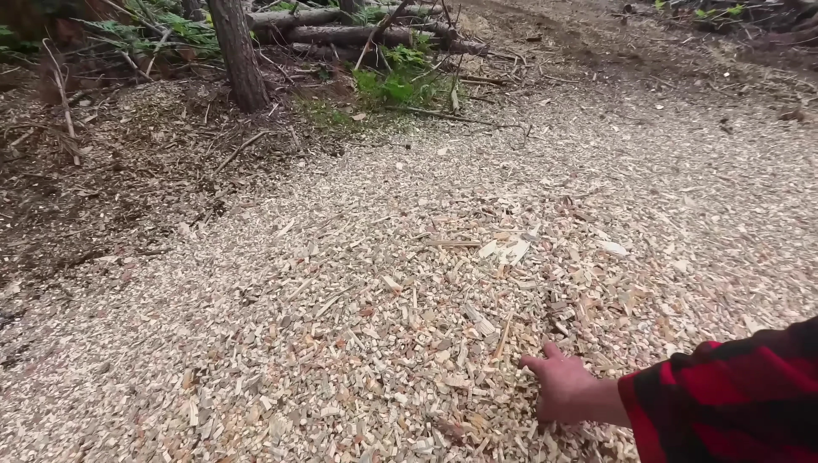 Pile of finished wood chips, showing the consistency and quality of the chipping process.