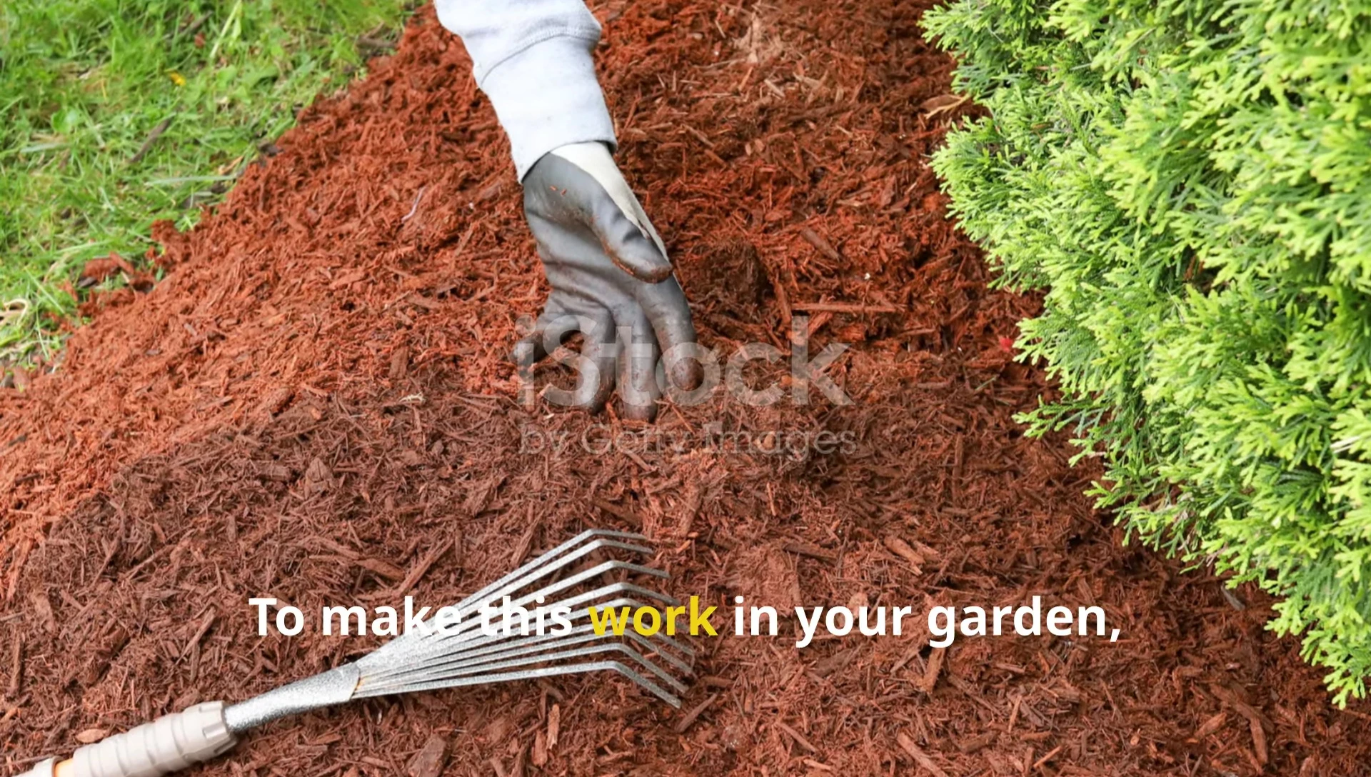 Applying mulch to garden bed