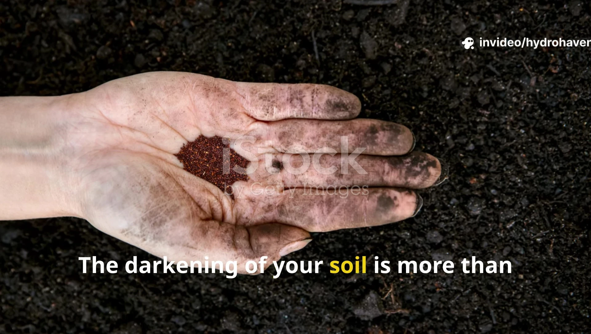 Dark, healthy soil