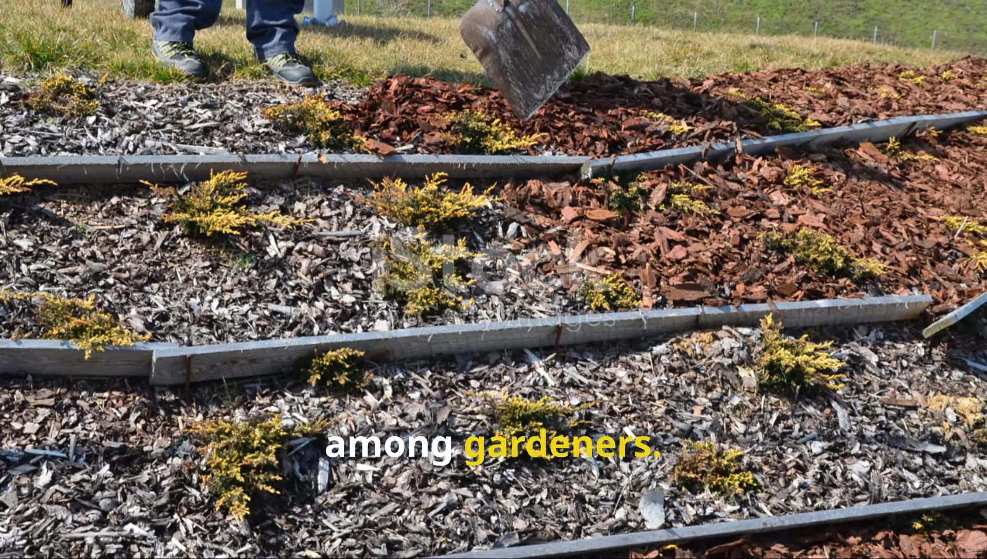 Close-up of wood chips as mulch