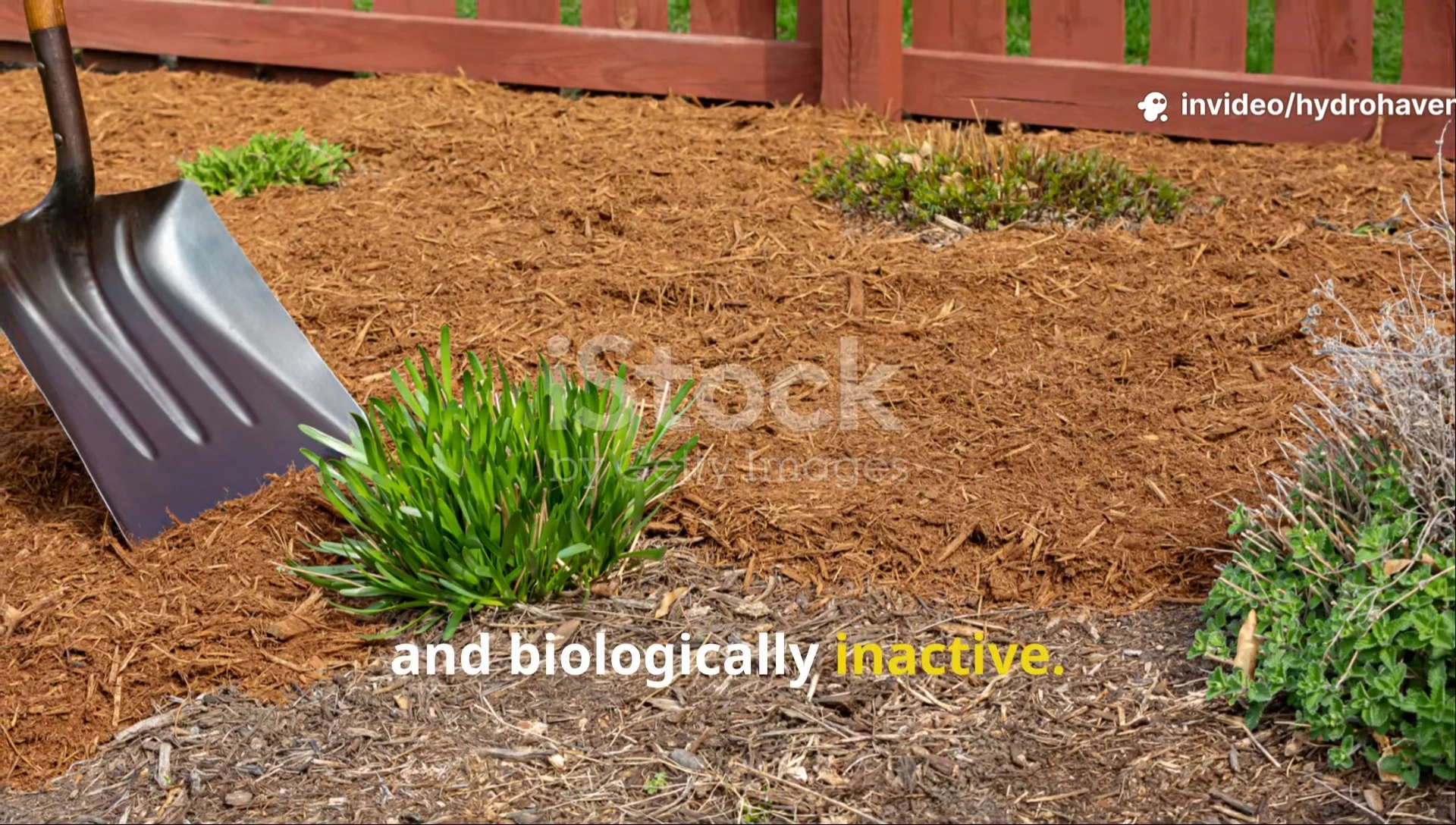 Image depicting fungus growth in soil