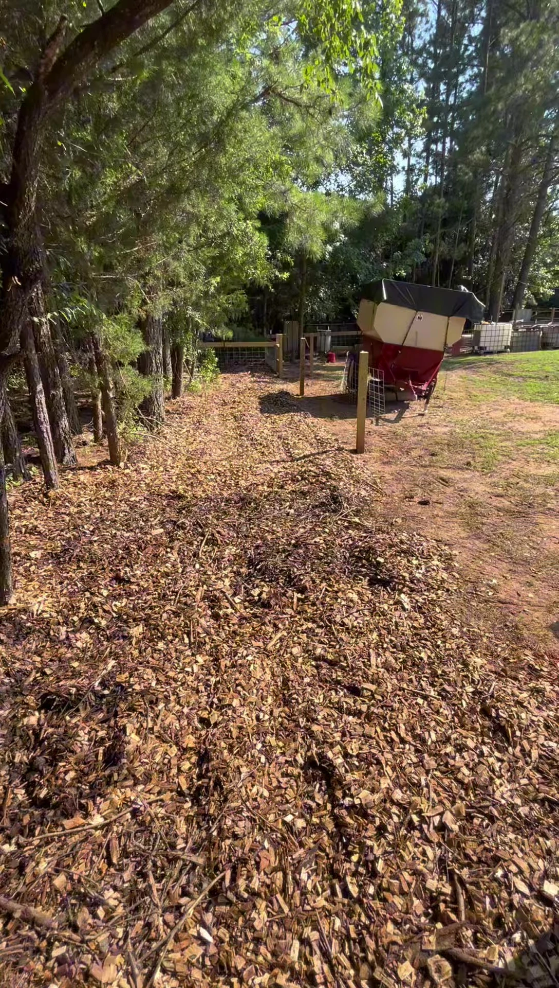 The narrator using a yard rake