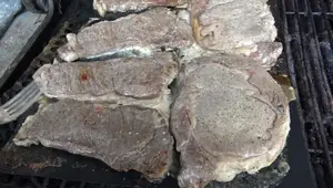 Teflon (PTFE) Grill & Baking Mats: A Comprehensive Review