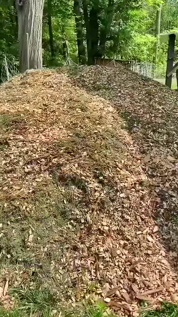Speaker confirming free wood chip delivery