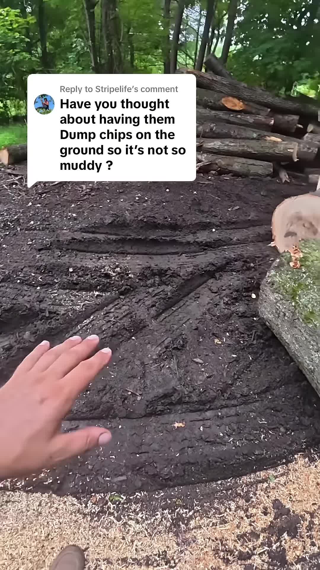 Muddy area where wood chips are being considered