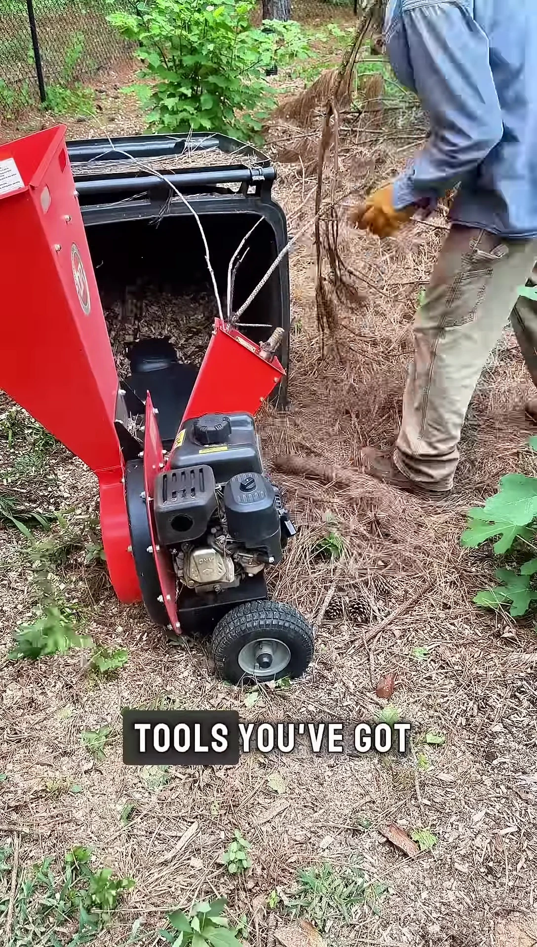 Text on screen: 'So, let's bust this myth. Fresh wood chips are not bad. They're a gardener's secret weapon.'