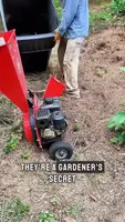 Fresh Wood Chips for Gardening: Debunking the Myth
