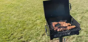 Pilot Rock Park Grill Review: A Heavy-Duty Charcoal Grill Masterpiece?