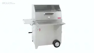Hasty Bake Gourmet Grill Review: A Versatile Charcoal Grilling Experience