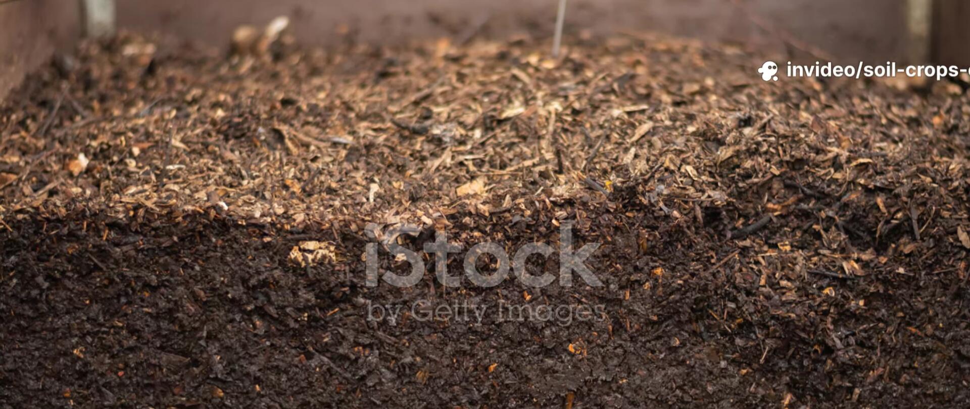 Finished compost – dark, crumbly and rich