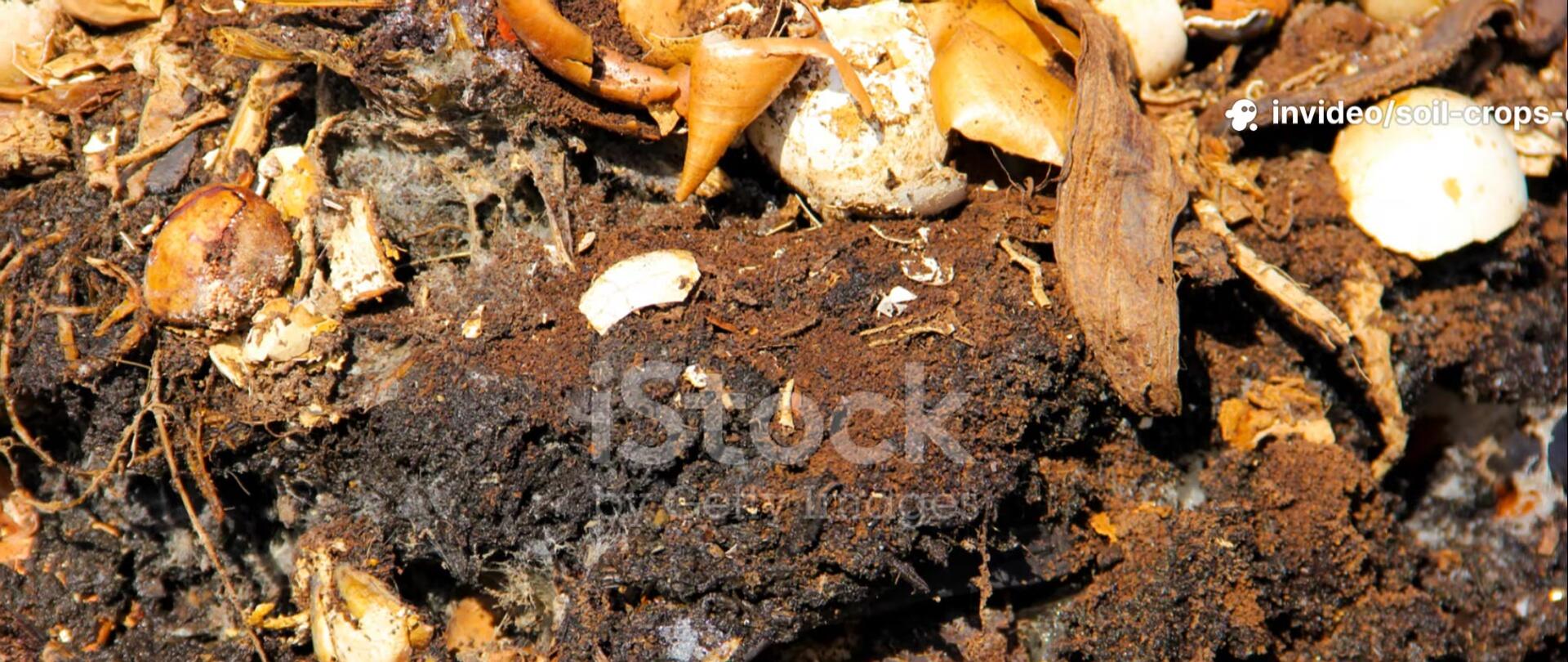 Using the finished compost in a garden